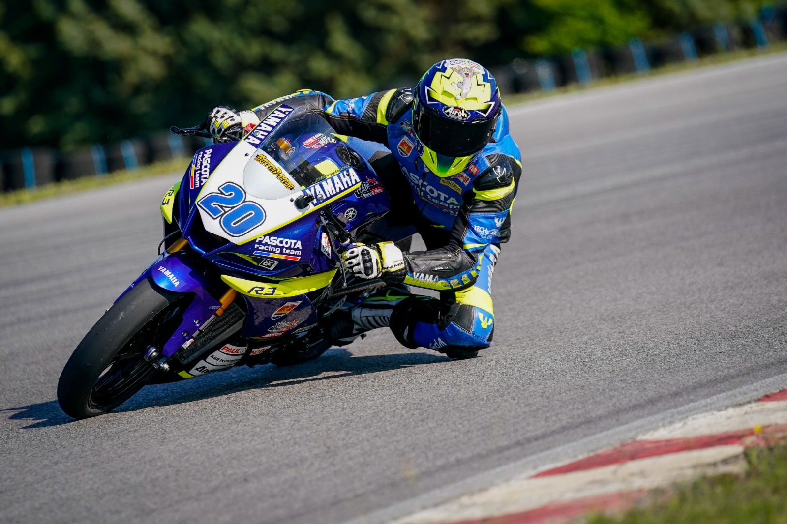 2e6cacc8-a496-404d-9273-7401a54b8e0c